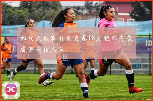 潍坊大区赛首度启幕18支强队齐聚展现竞技风采