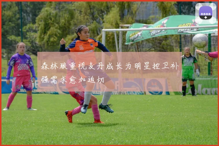 森林狼重视麦丹成长为明星控卫补强需求愈加迫切