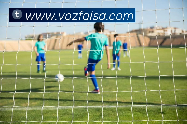 爱游戏官网发展历程